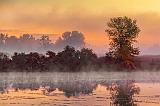 Sunrise Mist_28726-8